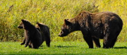 British Columbia