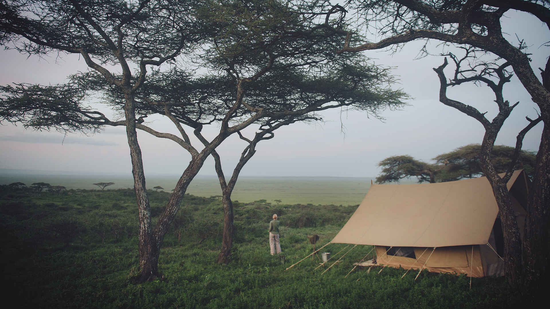 Charlie Sanjan Safari Camp: Ausblick vom Zelt