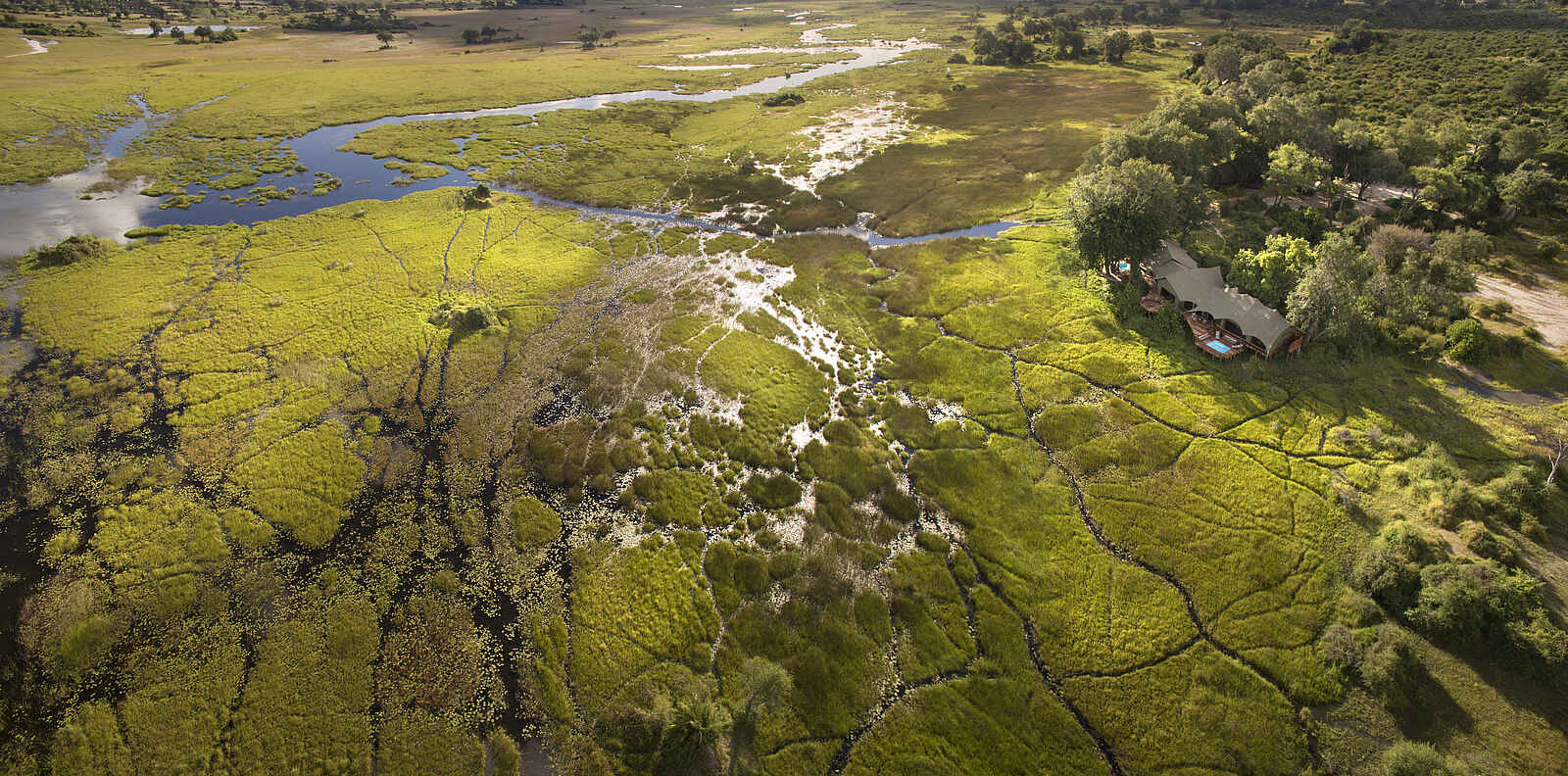Duba Plains Suite: Gesamtansicht Duba Plains Suite: Gesamtansicht