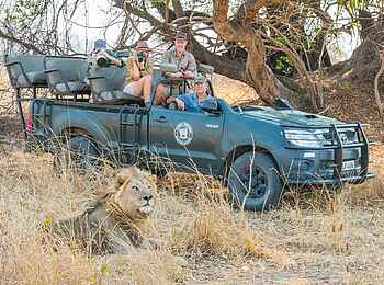 Mwamba Bush Camp: Löwe Mwamba Bush Camp: Löwe