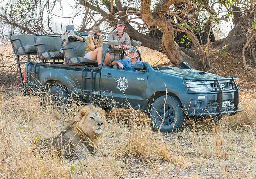 Mwamba Bush Camp: Löwe Mwamba Bush Camp: Löwe