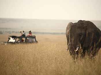 Rekero Camp: Game Drive