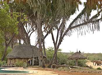 Saruni Rhino: Pool mit Elefant Saruni Rhino: Pool mit Elefant