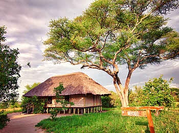 Tarangire River Camp: Zugang zum Gästezelt Tarangire River Camp: Zugang zum Gästezelt