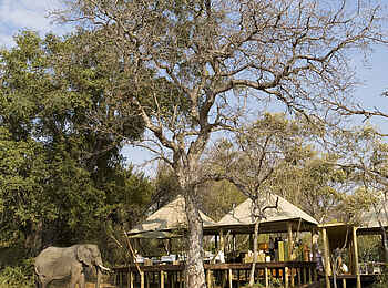Xaranna Okavango Delta Camp: Okavango pur