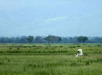 Zambezi Expeditions Camp: Im Anflug Zambezi Expeditions Camp: Im Anflug