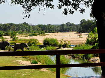 Inyati Game Lodge: Blick von der Terrasse