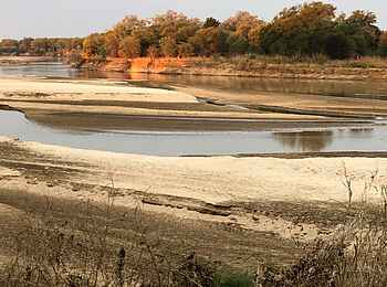 North Luangwa River Lodge and Camp: Flussbett North Luangwa River Lodge and Camp: Flussbett