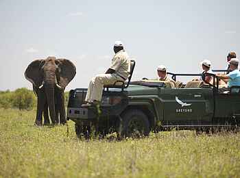 &Beyond Ngala Safari Lodge: Game Drive mit Elefanten