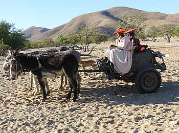 Fort Sesfontein: Ein Eselkarren