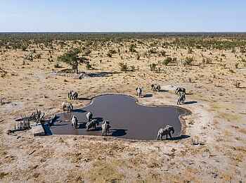Elephant Pan Camp: Lage am Wasserloch Elephant Pan Camp: Lage am Wasserloch