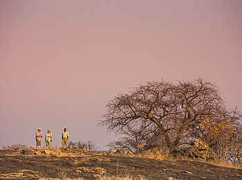 KaingU Safari Lodge: Walking Safari