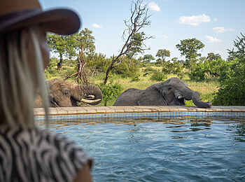 Kambaku River Sands: Elefanten am Pool Kambaku River Sands: Elefanten am Pool