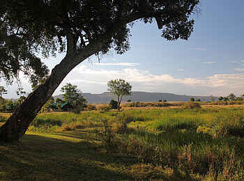 Little Governors' Camp: Umgebende Landschaft Little Governors' Camp: Umgebende Landschaft