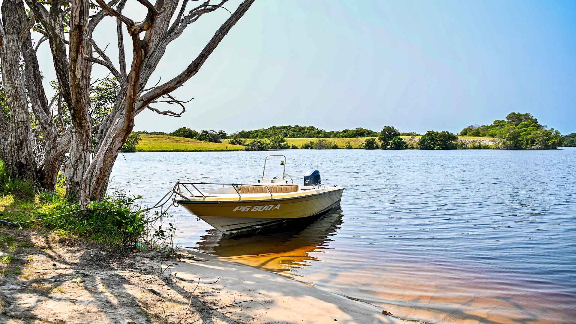 Loango Savannah Camp: Safari Boot