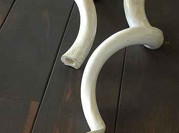 Mushara Outpost: Kuduhorn