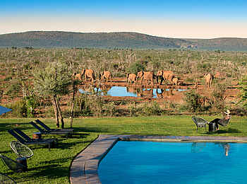The Royal Madikwe: Am Pooldeck