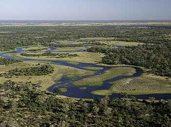 Savuti Camp: Luftbild des Savute Kanals