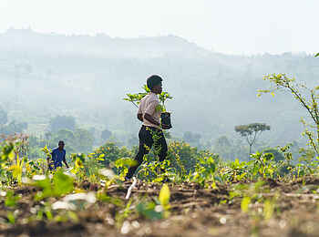 Volcanoes Kibale Lodge: Botanik