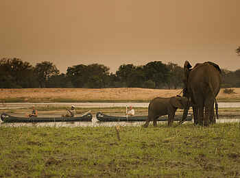 Kanga Expeditions: Kanu-Safari