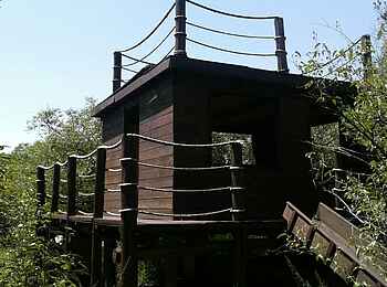 Mara Bush Camp: Beobachtungsunterstand Mara Bush Camp: Beobachtungsunterstand