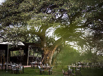 Marataba Safari Lodge: Essbereich im Freien bei Tag