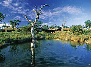 Sabi Sabi Earth Lodge: Wasserloch vor der Lodge Sabi Sabi Earth Lodge: Wasserloch vor der Lodge