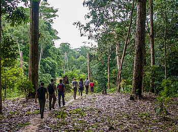 Sangha Lodge: Wanderung zu einem Wasserfall Sangha Lodge: Wanderung zu einem Wasserfall