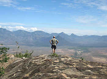 Sarara Tree: Blick in die Ferne Sarara Tree: Blick in die Ferne