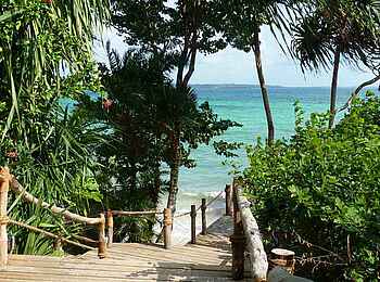 Fundu Lagoon: Weg zum Strand Fundu Lagoon: Weg zum Strand