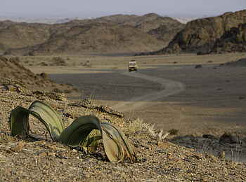 Hoanib Skeleton Coast Camp: Wüstenstraße Hoanib Skeleton Coast Camp: Wüstenstraße