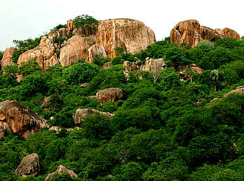 Kwihala Camp: Bewachsene Felsen