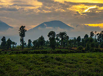 Sambora Kinigi Lodge: Vulkane