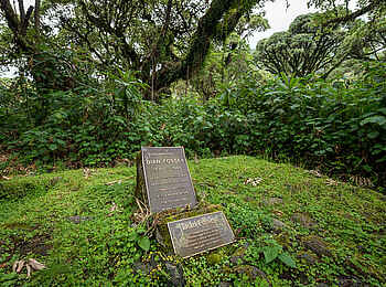 Bisate Lodge: Das Grab von Dian Fossey Bisate Lodge: Das Grab von Dian Fossey