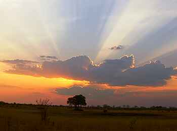 Camp Hwange: Sonnenuntergang