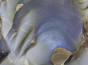 Etendeka Mountain Camp: Farbenschauspiel Etendeka Mountain Camp: Farbenschauspiel