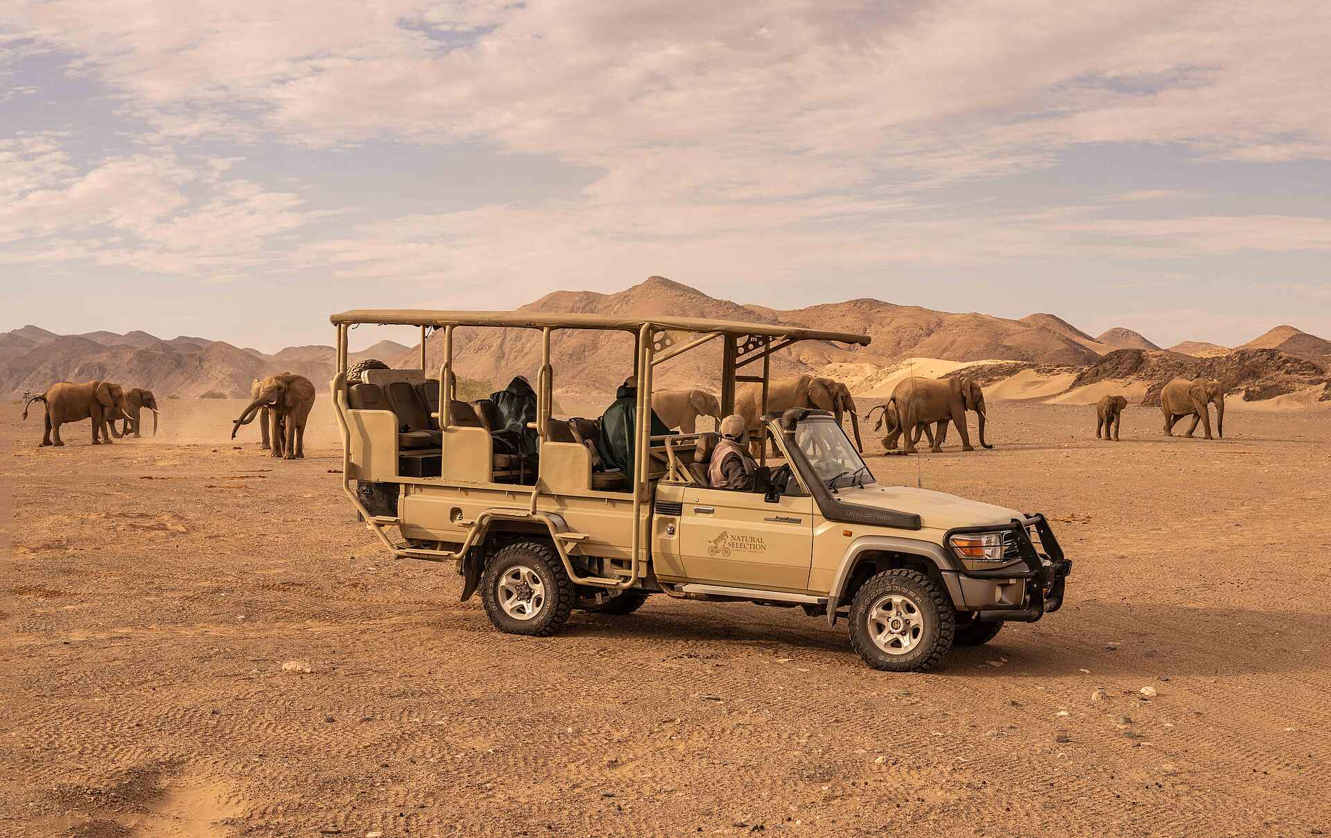 Hoanib Elephant Camp: Elefantenherde auf Pirschfahrt beobachten