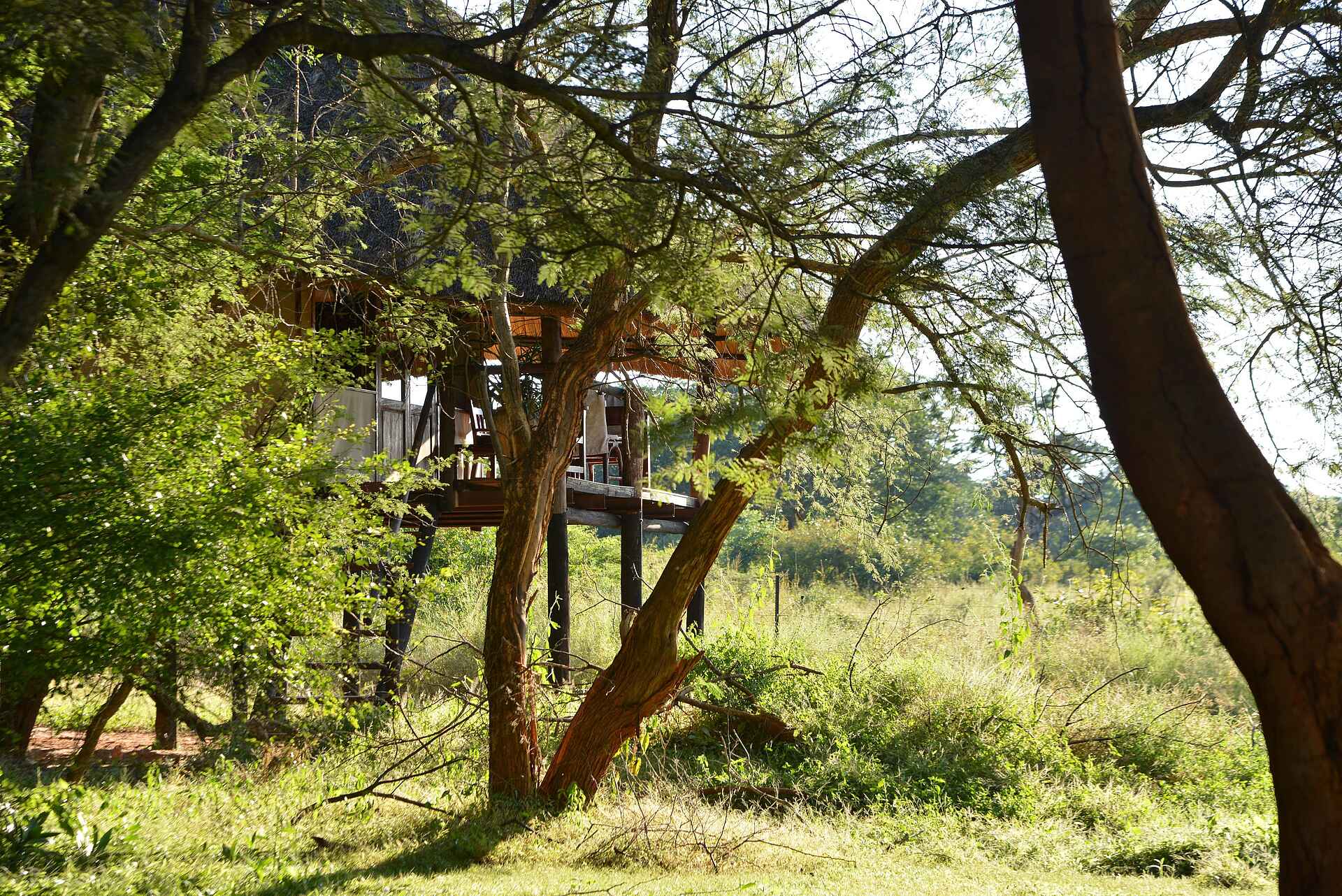 Ivory Lodge: Presidental Suite 