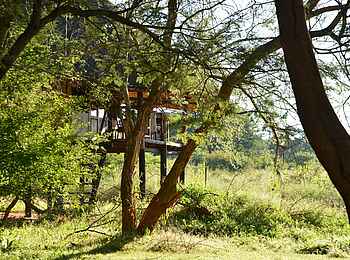 Ivory Lodge: Presidental Suite Ivory Lodge: Presidental Suite