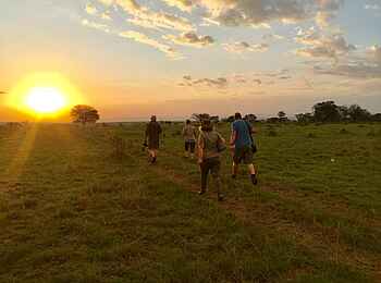 Kaskaz Mara Camp: Wanderung während Sonnenuntergang