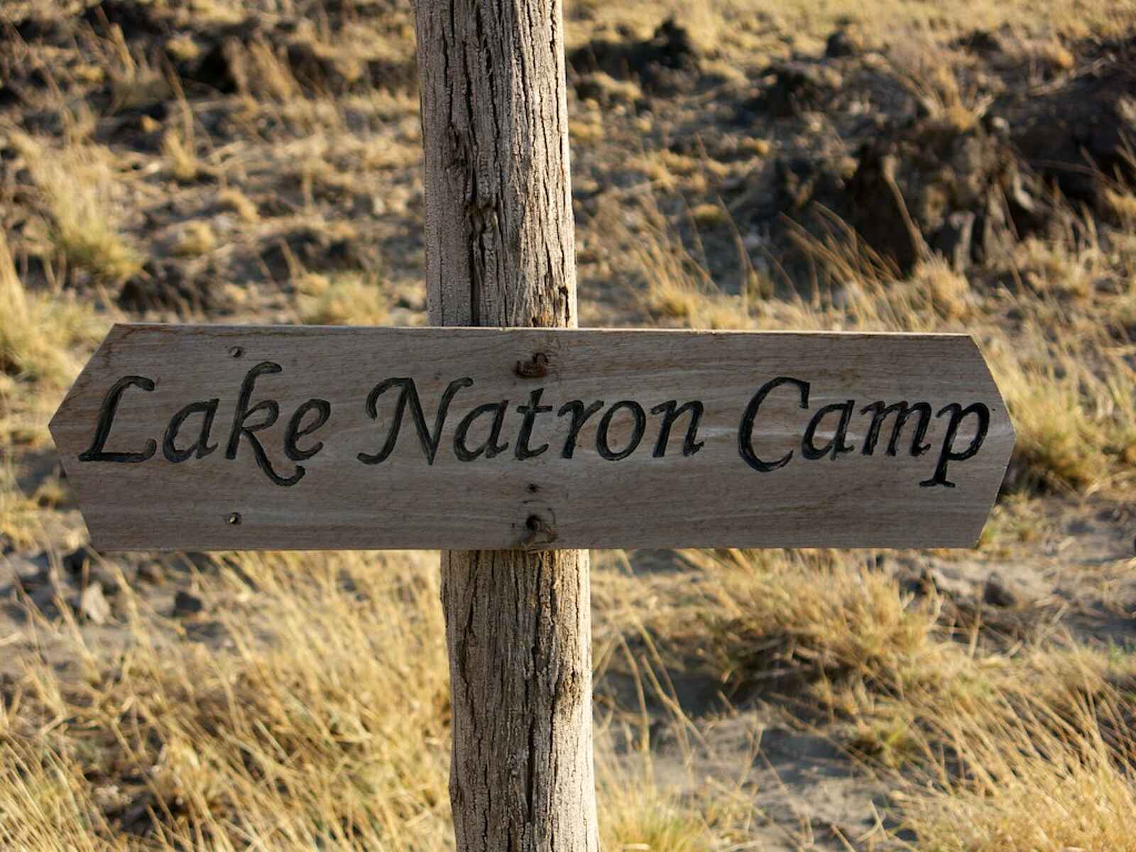Lake Natron Camp: Wegweiser Lake Natron Camp: Wegweiser