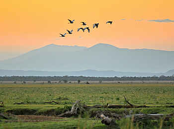 Muzimu Lodge: Die Landschaft Muzimu Lodge: Die Landschaft