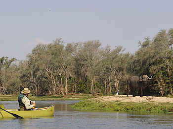 Old Mondoro Camp: Büffel und Kanuten