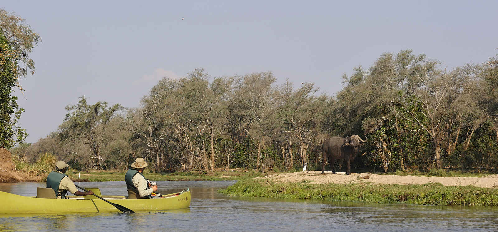Old Mondoro Camp: Büffel und Kanuten Old Mondoro Camp: Büffel und Kanuten