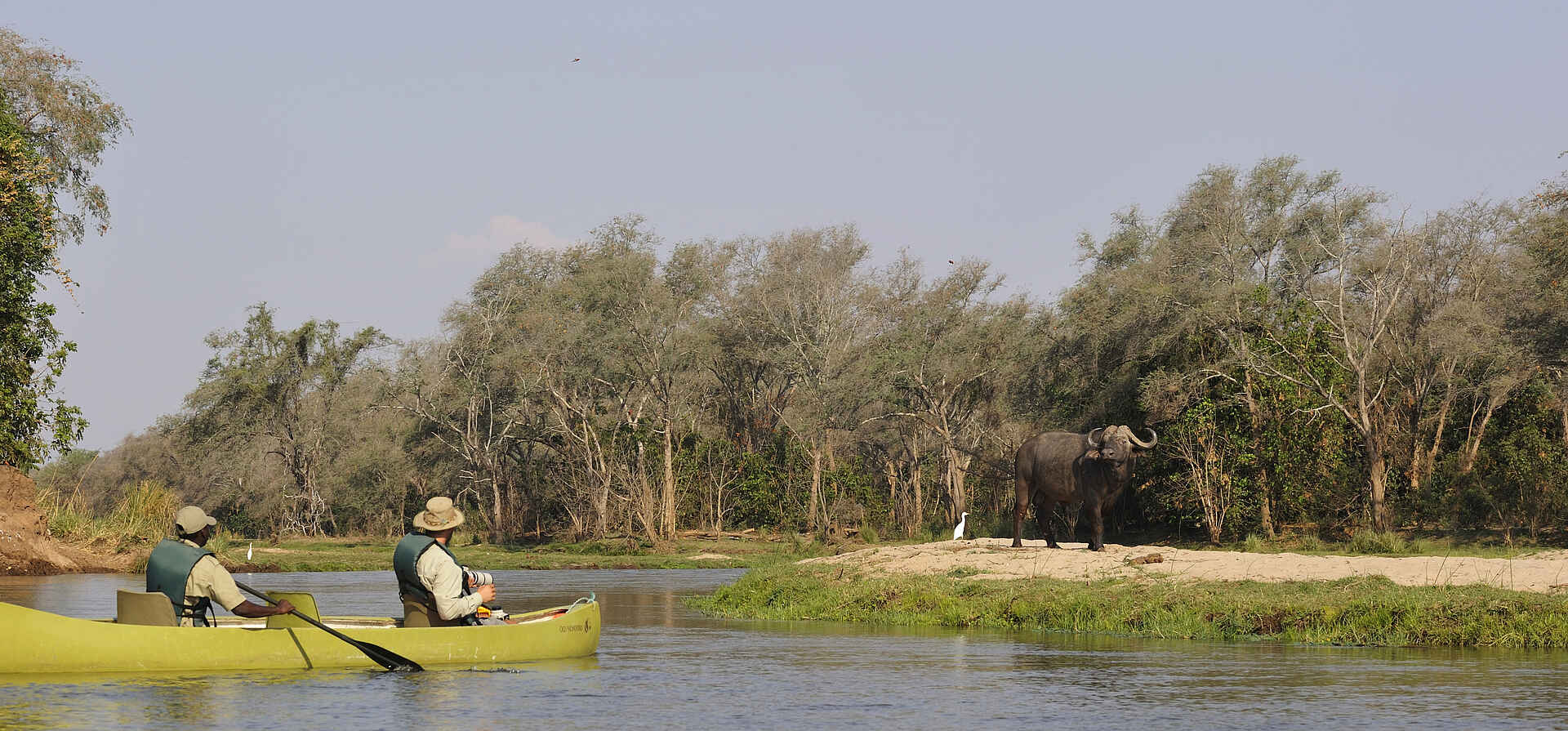 Old Mondoro Camp: Büffel und Kanuten