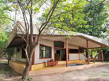 Potato Bush Camp: Gästezelt Potato Bush Camp: Gästezelt