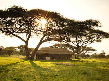 Serian's Serengeti Mobile Kusini Camp: Sonnenaufgang