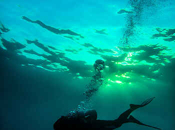 The Manta Resort: Reisen in die Tiefe The Manta Resort: Reisen in die Tiefe