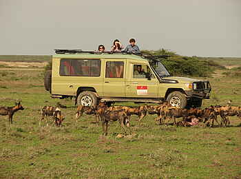Ubuntu Migration Camp: Game Drive