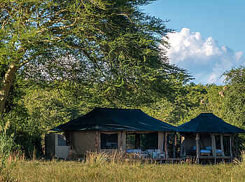 Kuthengo Camp: Unter Bäumen Kuthengo Camp: Unter Bäumen